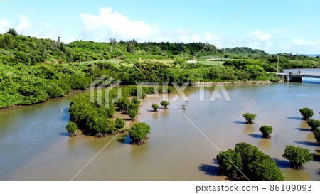 宮古島島尻紅樹林鳥瞰圖 86109093