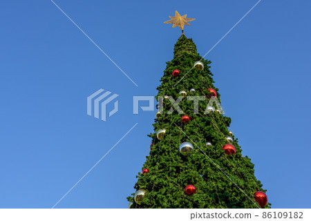 christmas tree blue sky background christmas tree blue sky background 86109182