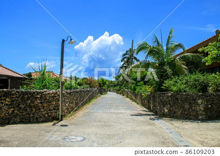 Okinawa's idyllic scenery of Taketomi Island Okinawa's idyllic scenery of Taketomi Island 86109203