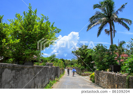 Okinawa's idyllic scenery of Taketomi Island 86109204