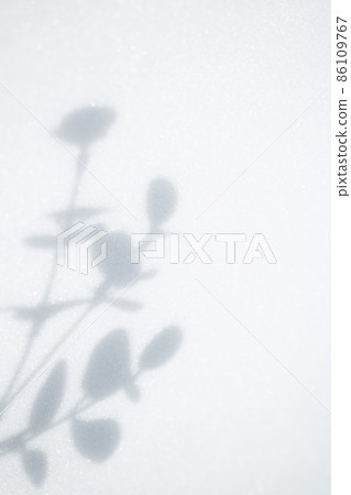 古色古香的植物剪影 86109767