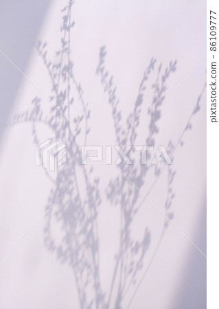 antique plant silhouette antique plant silhouette 86109777