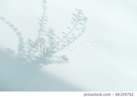 古色古香的植物剪影 古色古香的植物剪影 86109782