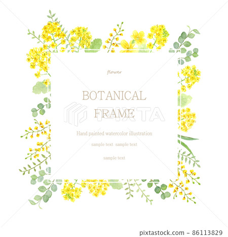Frame of rape blossoms and yellow flowers Watercolor illustration 86113829