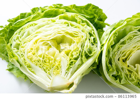 生菜的橫截面切成兩半。 生菜的橫截面切成兩半。 86113965