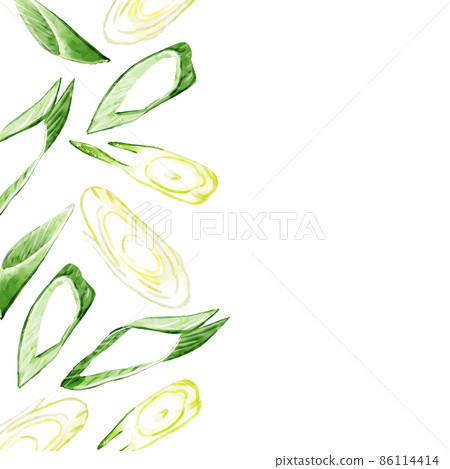 Hand-painted watercolor diagonally cut green onion illustration square frame, left 86114414