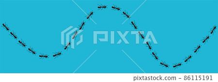 Ants trail. Route or path of ants isolated in blue background. Vector illustration Ants trail. Route or path of ants isolated in blue background. Vector illustration 86115191