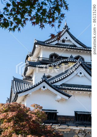 Hikone Castle seen in autumn Hikone Castle seen in autumn 86115290