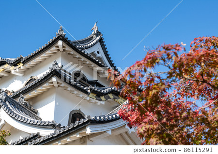 Hikone Castle seen in autumn Hikone Castle seen in autumn 86115291