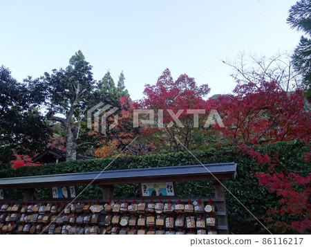 京都秋葉上的一休寺 京都秋葉上的一休寺 86116217