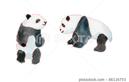 Watercolor illustration of twin children's panda 86116753