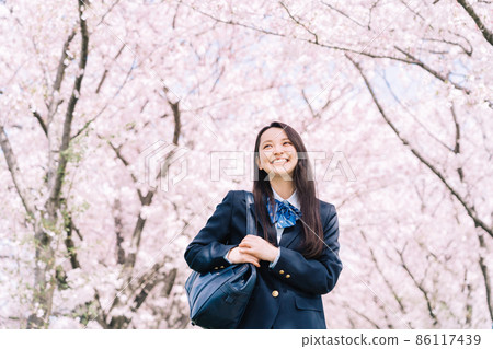 Cherry blossoms and high school students Cherry blossoms and high school students 86117439