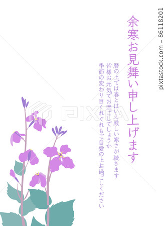Murasaki Hanana(紫花青菜)Shokatsusai(Morokatsu青菜)花蘿蔔的冷問候明信片垂直類型 Murasaki Hanana(紫花青菜)Shokatsusai(Morokatsu青菜)花蘿蔔的冷問候明信片垂直類型 86118201