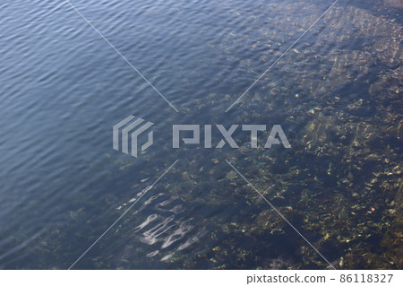 A beautiful seascape where you can see the stones on the seabed with ripples A beautiful seascape where you can see the stones on the seabed with ripples 86118327