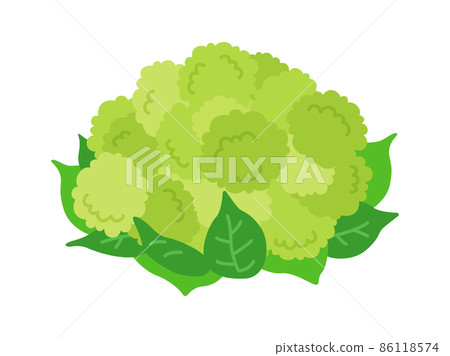 綠花椰菜與葉子的插圖 86118574