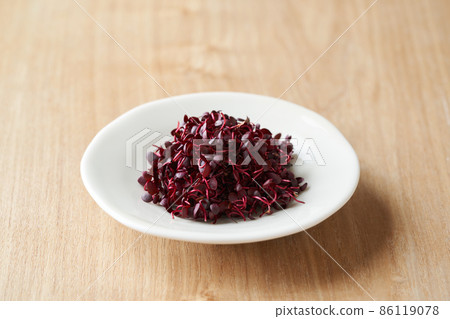 盤子上的紅芽 86119078