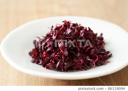 Red buds served on a plate Red buds served on a plate 86119094