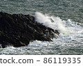 Wave of the island 86119335