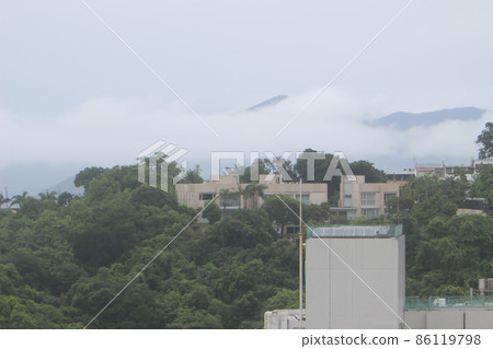 the Foggy forest in the mountains. Landscape with trees and mist. Landscape after rain. 86119798