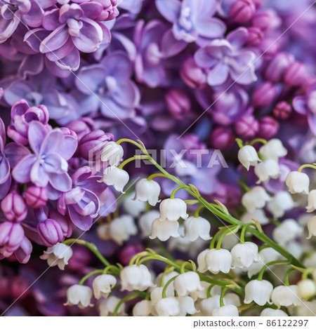 Abstract floral background, blooming purple terry Lilac flower petals and lily of the valley flowers. Soft focus 86122297