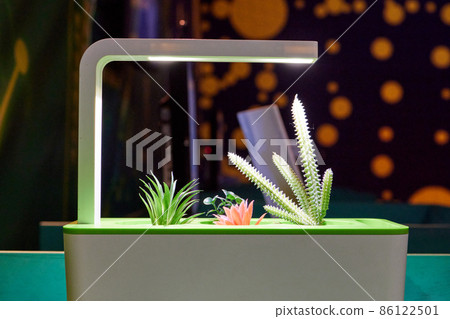 growing plants in a smart hidden form with artificial led lighting. spectrum fitolampy for seedlings and growing plants. growing plants in a smart hidden form with artificial led lighting. spectrum fitolampy for seedlings and growing plants. 86122501