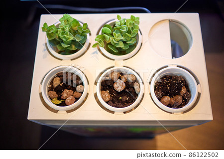 growing plants in a smart hidden form with artificial led lighting. spectrum fitolampy for seedlings and growing plants. growing plants in a smart hidden form with artificial led lighting. spectrum fitolampy for seedlings and growing plants. 86122502