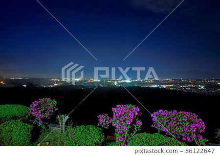 Azalea blooming observatory 86122647