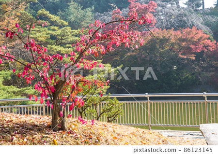 Hyeonchungsa Temple Autumn scenery around Hyeonchungji Hyeonchungsa Temple Autumn scenery around Hyeonchungji 86123145