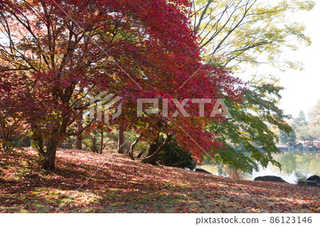 Hyeonchungsa Temple Autumn scenery around Hyeonchungji Hyeonchungsa Temple Autumn scenery around Hyeonchungji 86123146