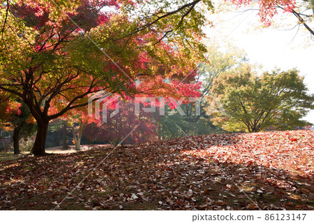 Hyeonchungsa Temple Autumn scenery around Hyeonchungji Hyeonchungsa Temple Autumn scenery around Hyeonchungji 86123147
