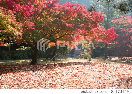 Hyeonchungsa Temple Autumn scenery around Hyeonchungji Hyeonchungsa Temple Autumn scenery around Hyeonchungji 86123149