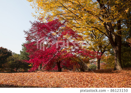 Hyeonchungsa Temple Autumn scenery around Hyeonchungji Hyeonchungsa Temple Autumn scenery around Hyeonchungji 86123150