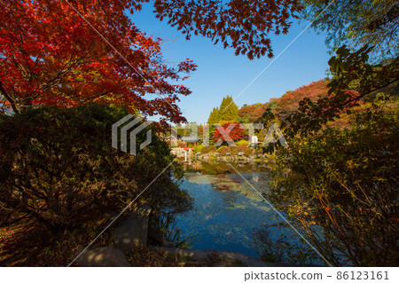 Hyeonchungsa Temple Autumn scenery around Hyeonchungji Hyeonchungsa Temple Autumn scenery around Hyeonchungji 86123161