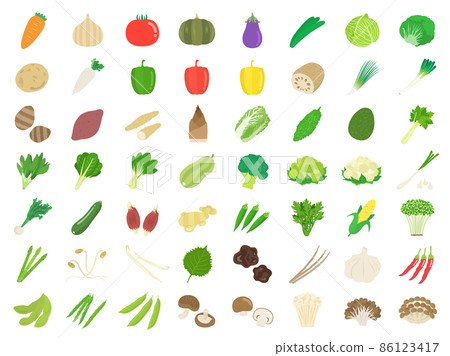 多種蔬菜的插圖集 86123417