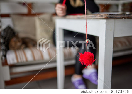 The kitten plays with a rope on a wooden stick. 86123706