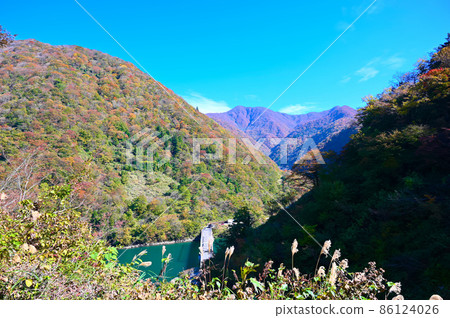 Kuzuryukei Autumn Leaves Ono City 86124026