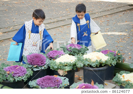 Twins' Shichigosan pilgrimage 86124077