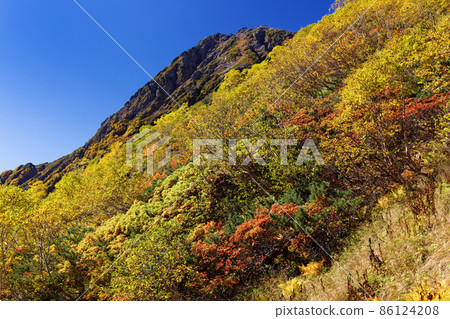 Autumn leaves on the grass-sliding mountain trail and the summit of Mt. Kitadake in the Southern Alps Autumn leaves on the grass-sliding mountain trail and the summit of Mt. Kitadake in the Southern Alps 86124208