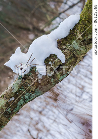 Snowman cat on a tree. Animal cat out of the snow. 86125369