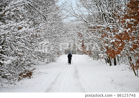 A cross-country skier rides in a snowy landscape. Nature background - sports and outdoor activities in winter. A cross-country skier rides in a snowy landscape. Nature background - sports and outdoor activities in winter. 86125748