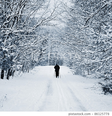 A cross-country skier rides in a snowy landscape. Nature background - sports and outdoor activities in winter. 86125778