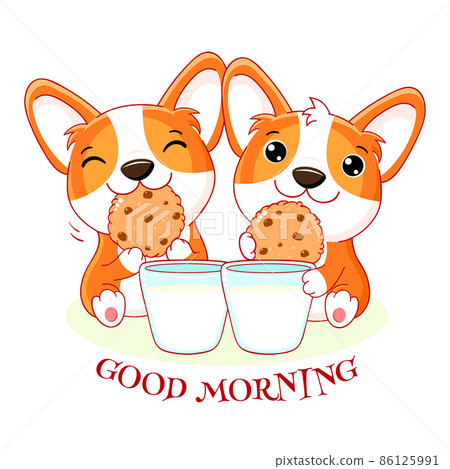Two cute corgi puppies with cookies and milk. Kawaii little dogs are happy to eat cookies 86125991