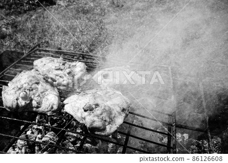 Photography to theme beautiful grilled chicken meat Photography to theme beautiful grilled chicken meat 86126608