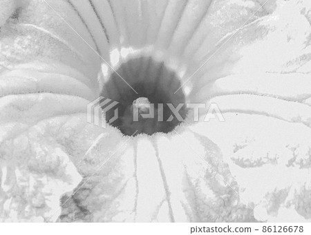 Bouquet wildflowers close up blooming in garden Bouquet wildflowers close up blooming in garden 86126678