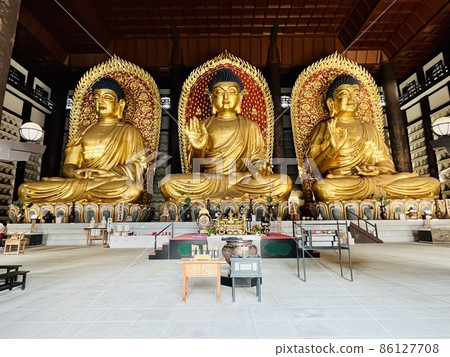 The world's largest three wooden Buddha statues <Chorakuji Temple, Chorakuji Daibutsu> 86127708