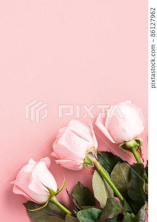 Valentine's Day Bouquet Roses Background Valentine's Day rose バレンタイン Valentine's Day Bouquet Roses Background Valentine's Day rose バレンタイン 86127962