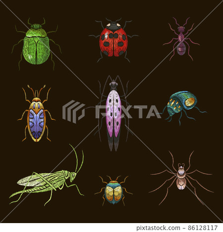 Insect stitch. Bug patch, insects embroidery. Ladybug and grasshopper, garden wild animal stitched set. Art decorative stickers for cloth nowaday vector set Insect stitch. Bug patch, insects embroidery. Ladybug and grasshopper, garden wild animal stitched set. Art decorative stickers for cloth nowaday vector set 86128117