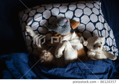 Beagle inside hot sale teddy bear