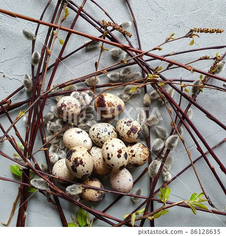 Quail eggs and willow branches nest on concrete gray background. Easter decoration and springtime concept. Top view, flatlay, square photo. Quail eggs and willow branches nest on concrete gray background. Easter decoration and springtime concept. Top view, flatlay, square photo. 86128635