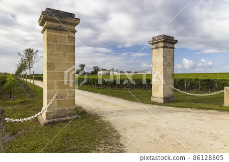 Typical vineyards near Saint-Julien-Beychevelle, Bordeaux, Aquitaine, France Typical vineyards near Saint-Julien-Beychevelle, Bordeaux, Aquitaine, France 86128805